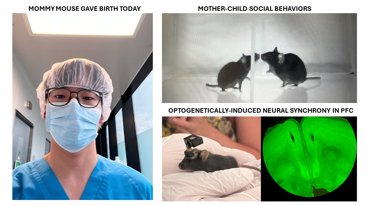 Opto Research Image